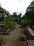 Geelong College Yr 4 Enviro Garden 2014