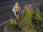 Shirley Johnson, Gardener of the Year 2016